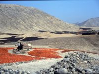 1988 - Peru